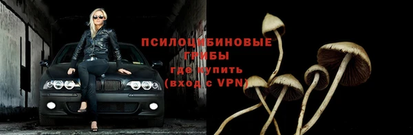 герыч Козловка