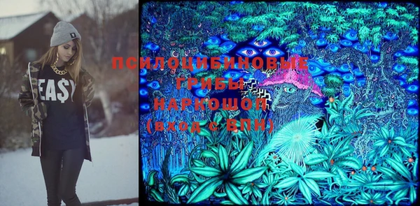 mix Кодинск