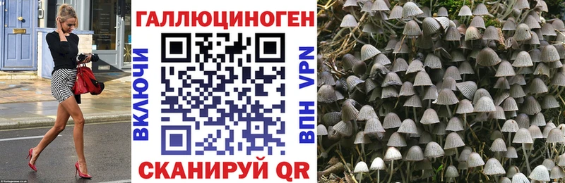 Галлюциногенные грибы прущие грибы  Купить где  Райчихинск 